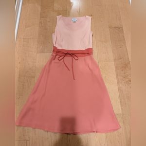 Ann Taylor Pink Color Block Dress
